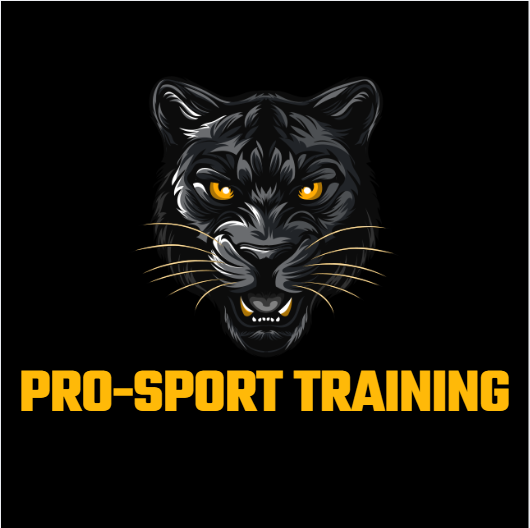Logo Pro Sport Training